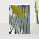 Search for shade photography Floral