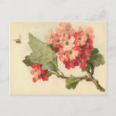 Search for pink flowers birthday postcards Nature