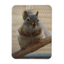 Search for crouching magnets Nature