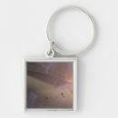 Search for planetary key rings Concept