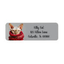 Search for sphynx cat return address labels Kitten