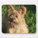 Search for cairns mousepads Puppy
