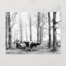 Search for vermont postcards Trees