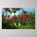 Search for red apple posters Farm