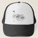 Search for reflection hats Nature