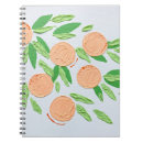 Search for clementine notebooks Fruit