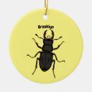 Search for stag christmas tree decorations Beetles