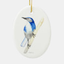 Search for scrubs christmas tree decorations Blue
