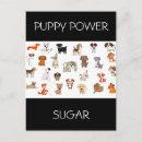 Search for pug kid postcards Puppy