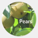 Search for pear tree stickers Fruit