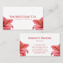 Search for vivid business cards White