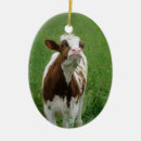 Search for cute cow christmas tree decorations Country