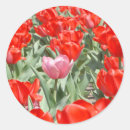 Search for kansas flower stickers North america