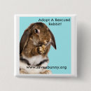 Search for rabbit badges Bunny