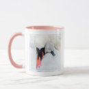 Search for swan mugs Water bird