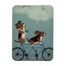 Search for basset hound magnets Cute dogs