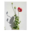 Search for cultivation posters Beauty