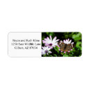 Search for spots return address labels Wings