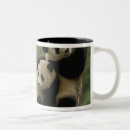 Search for temperate mugs Shaanxi province