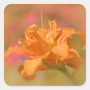 Search for daylily stickers Floral