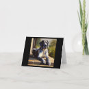 Search for great dane cards Canine