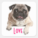 Search for pug puppy stickers Puppies