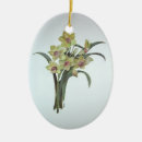 Search for daffodil christmas tree decorations Narcissus