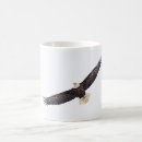 Search for eagle coffee mugs Predator