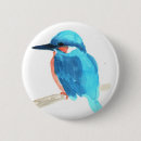 Search for kingfish badges Wildlife