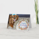 Search for cavalier king charles spaniel birthday cards Cake
