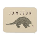 Search for species magnets Pangolin