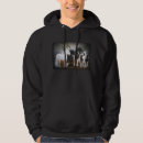 Search for gypsy vanner clothing Stallion