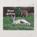 Search for australia postcards birthday cards Kangaroo