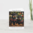 Search for rottweiler puppies cards Rottweiller