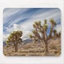Search for object photography Sky