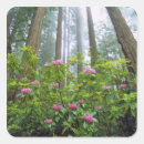 Search for rhododendron stickers Tree