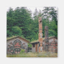 Search for pole magnets Totem