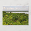 Search for central america travel postcards Rainforest
