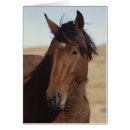 Search for forelock Equine