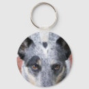 Search for 1 cattle dog key rings Herding