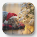 Search for dog christmas plates Pet