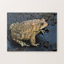Search for toad puzzles Wildlife
