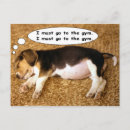 Search for funny beagle postcards Puppy