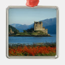 Search for castle christmas tree decorations Paul thompson