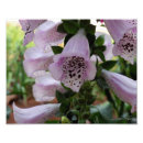Search for purple bloom art Garden