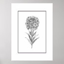 Search for black and white botanical art Illustration