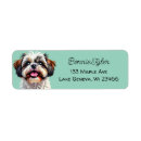Search for cute shih tzu return address labels Puppy
