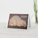 Search for no mood cards Cat