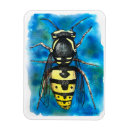 Search for wasp Drawing