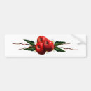 Search for apples bumper stickers Fruit